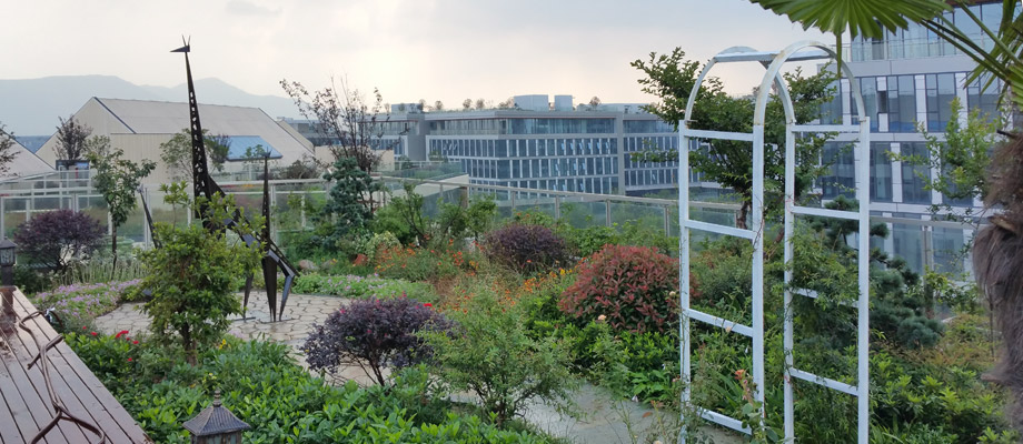 南京萬通城市建設(shè)設(shè)計院弱電系統(tǒng)項目案例。